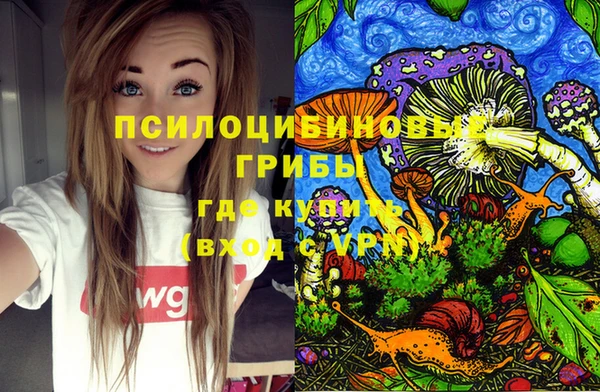 PSILOCYBIN Володарск